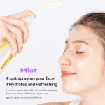 اسپری-تونر-نیاسینامید-تیام-tiam-vita-b3-mist-toner