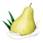 اسپری ضد تعریق زنانه داو رایحه گلابی Go Fresh